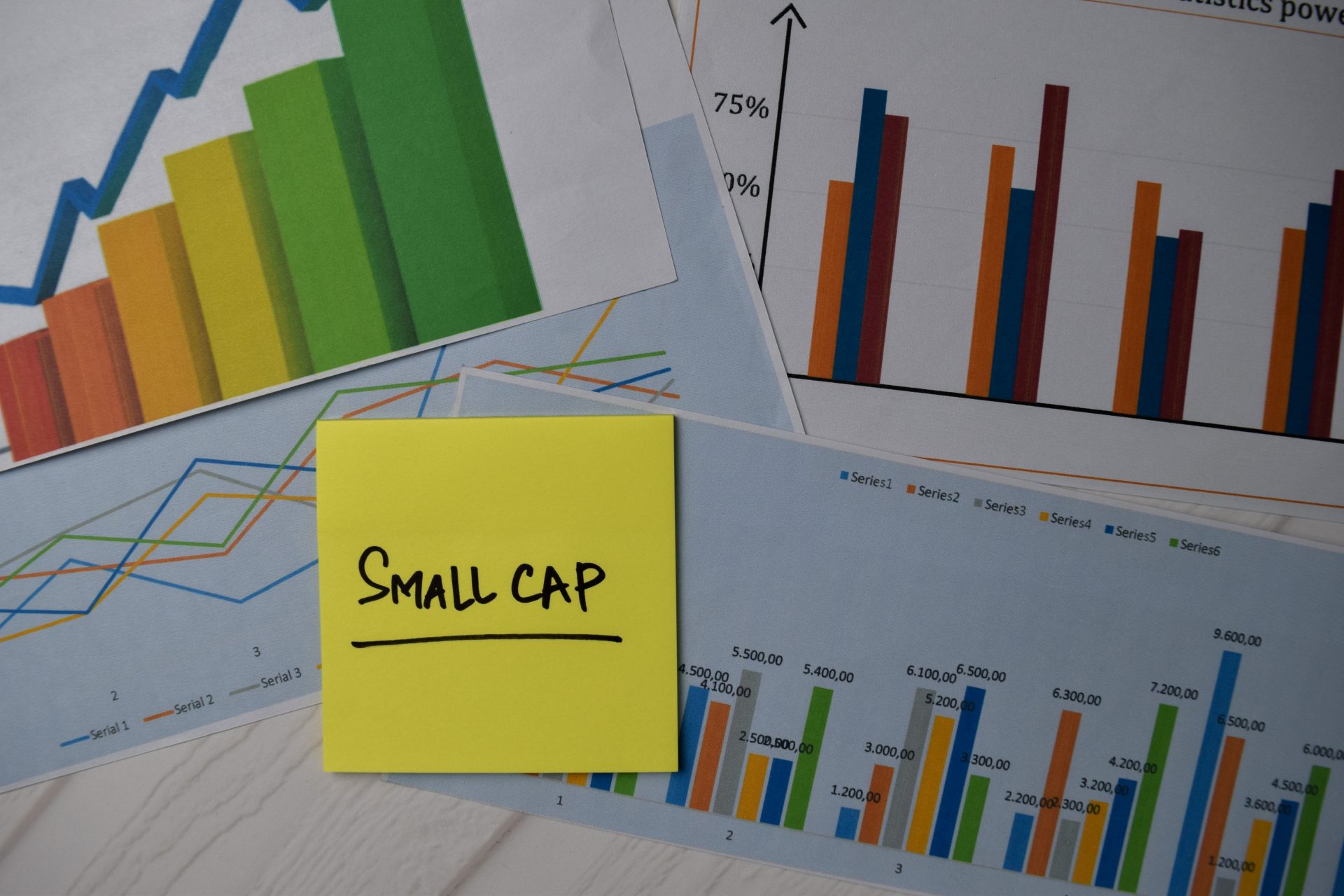 Small Caps o que são e como investir?